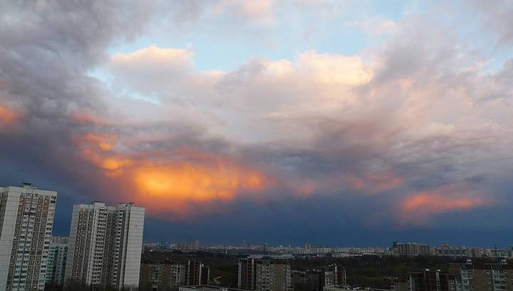 МЧС предупредило о сильном ветре в Москве и области