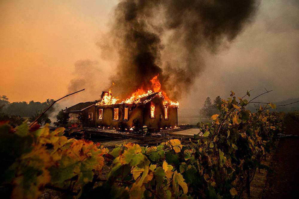 Губернатор Калифорнии ввел в штате чрезвычайное положение в связи с лесными пожарами