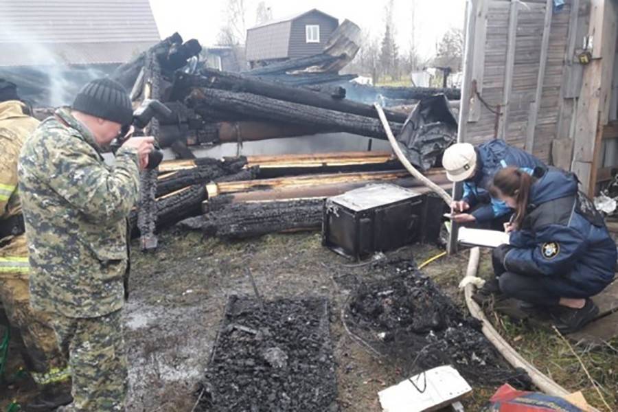 Трое детей погибли при пожаре в Рязанской области