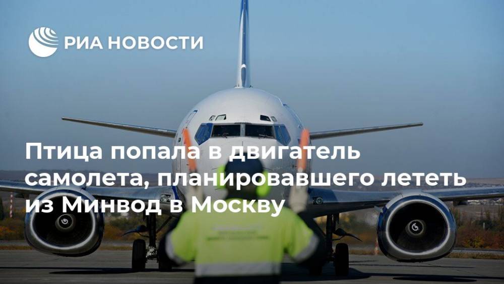 Птица попала в двигатель самолета, планировавшего лететь из Минвод в Москву