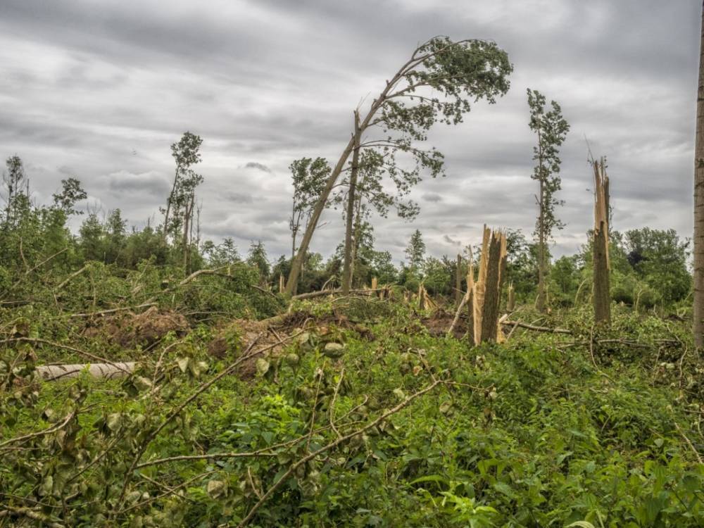В течение двух недель в Псковской области урагана не повторится