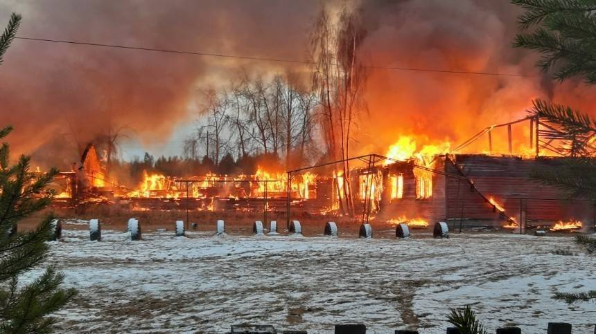 Школа в поселке Карелии полностью сгорела в результате пожара