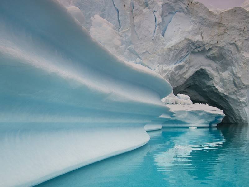 Учёные зафиксировали рекордное сокращение толщины льда в Арктике