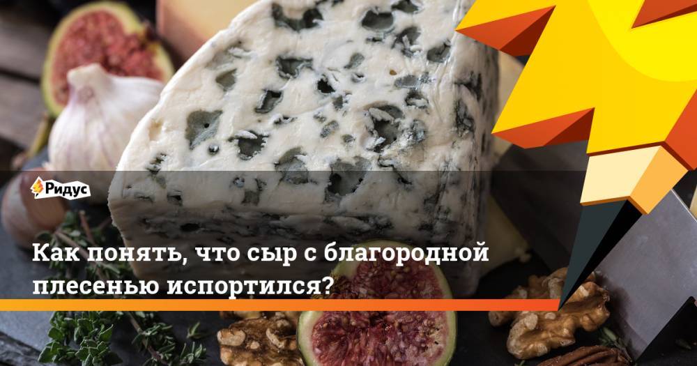 Как понять, что сыр с благородной плесенью испортился?