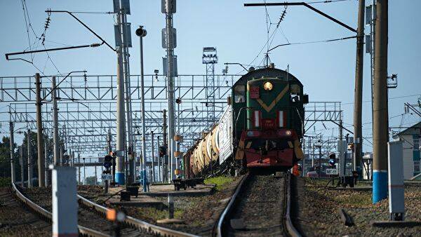 В Словакии в грузовом поезде обнаружили одиннадцать детей-беженцев