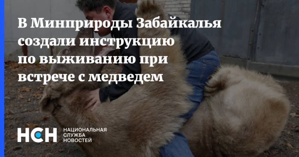 В Минприроды Забайкалья создали инструкцию по выживанию при встрече с медведем