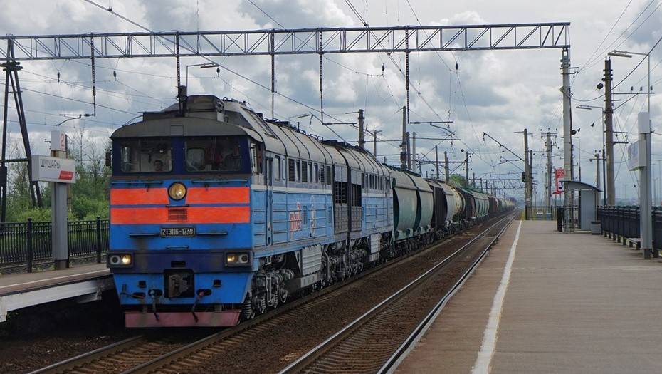 Петербурженка погибла под поездом на станции Шушары