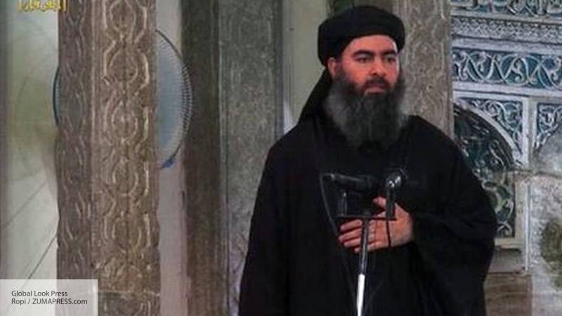 Фейк США перенес Аль-Багдади из Ирака в подконтрольный «Аль-Каиде» Идлиб