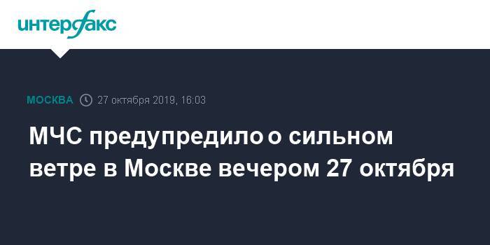 МЧС предупредило о сильном ветре в Москве вечером 27 октября