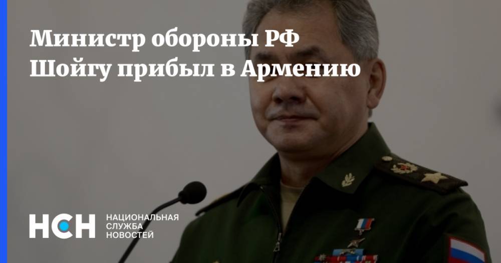 Министр обороны РФ Шойгу прибыл в Армению