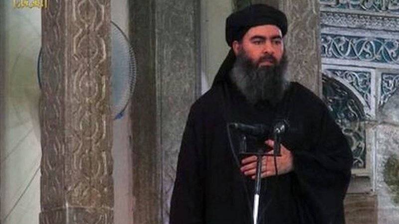 «Убитый» Трампом аль-Багдади не мог находиться в занятом «Аль-Каидой» Идлибе – эксперт