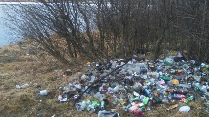 Почти 70 процентов мусора на берегах России составляет пластик — Greenpeace