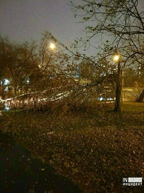 В Свердловской области из-за шквалистого ветра без света остались более 25 тыс. человек