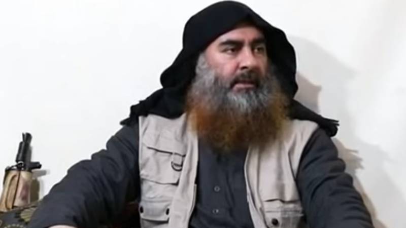 Криминалист раскритиковал доказательство «гибели» аль-Багдади в виде трусов с ДНК