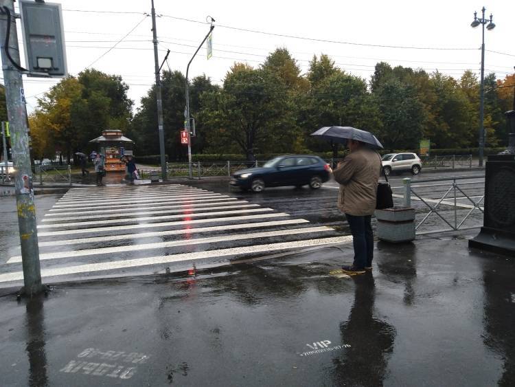 Опубликованы кадры последствий урагана «Мортимер» в Петербурге