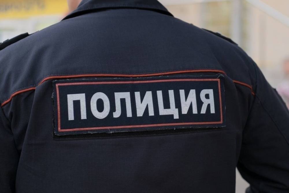 Боец джиу-джитсу травмировал полицейских при задержании в Москве