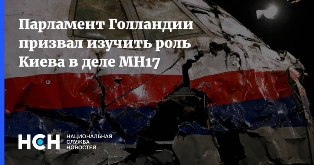 Парламент Голландии призвал изучить роль Киева в деле MH17