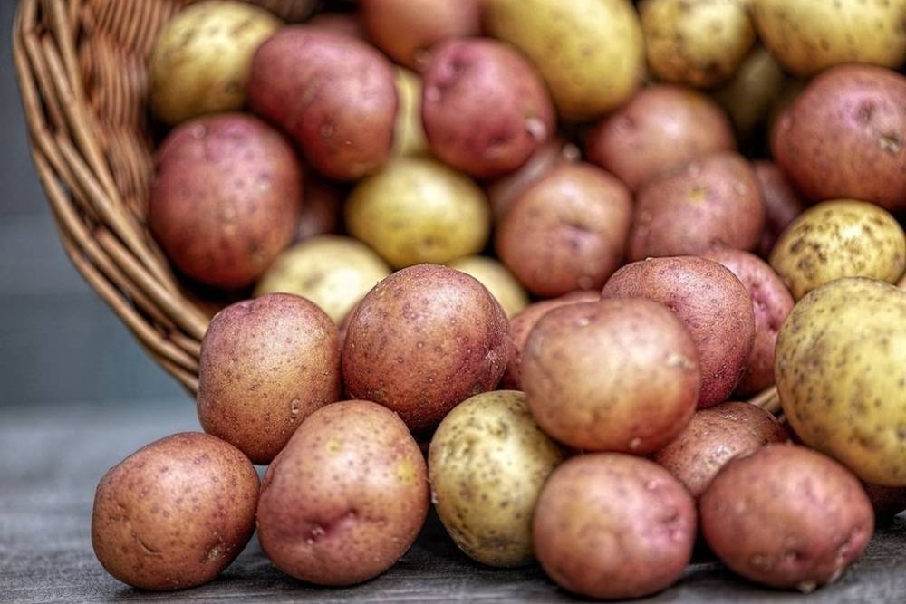 Картошка на Украине подорожала за год в два раза