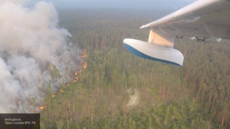 Американские ученые создали гель, предотвращающий лесные пожары