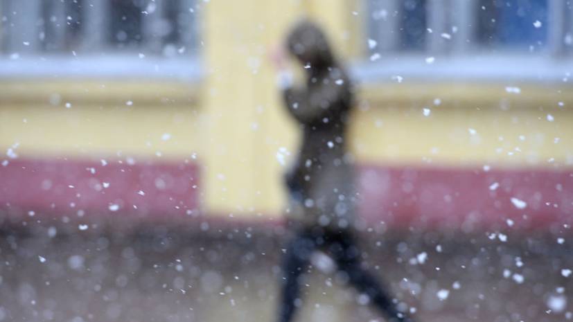 В Гидрометцентре прогнозируют мокрый снег в Москве в выходные
