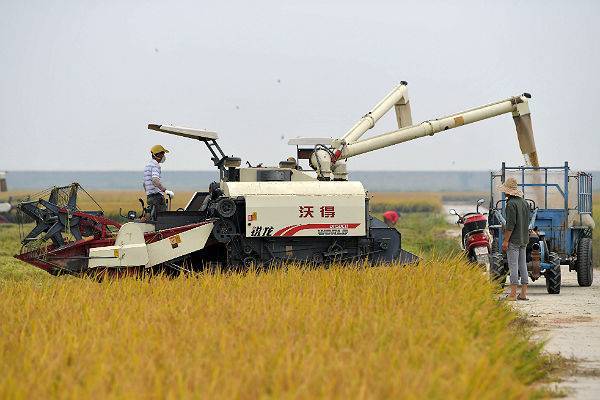 В Китае вырос дефицит торговли сельхозпродукцией