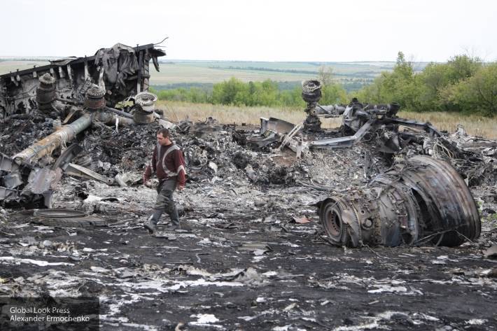 Эксперт высказался о желании Нидерландов узнать роль Киева в деле MH17
