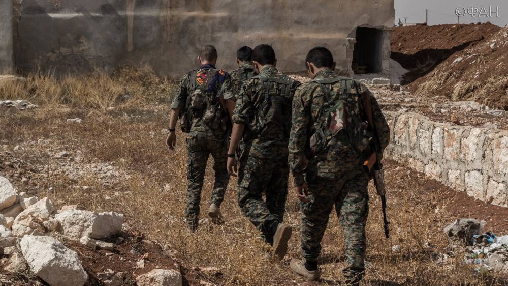 Сирия новости 3 октября 22.30: курды задержали 40 человек в Ракке, САА сбила дрон исламистов в Идлибе