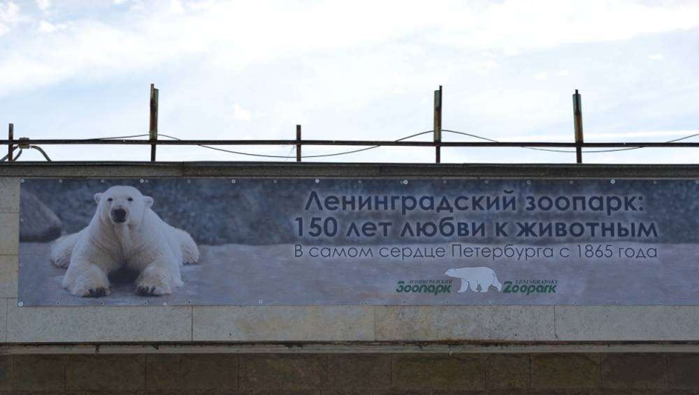 Ленинградский зоопарк предупредил об изменении режима работы
