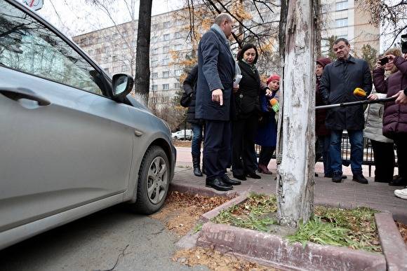 Котова поручила разобраться с бордюрами вокруг деревьев по проспекту Ленина