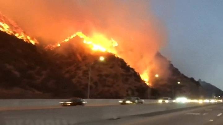 Терминатор бежит от огня первым: пожары оставляют за собой в Калифорнии кинопепелище