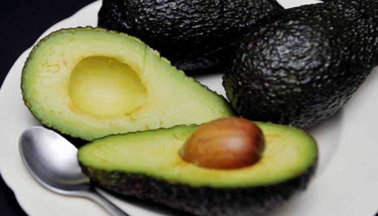 Американские ученые открыли новые полезные свойства авокадо