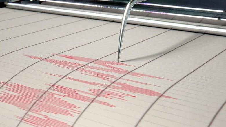 В Новосибирской области произошло землетрясение до 4,5 баллов