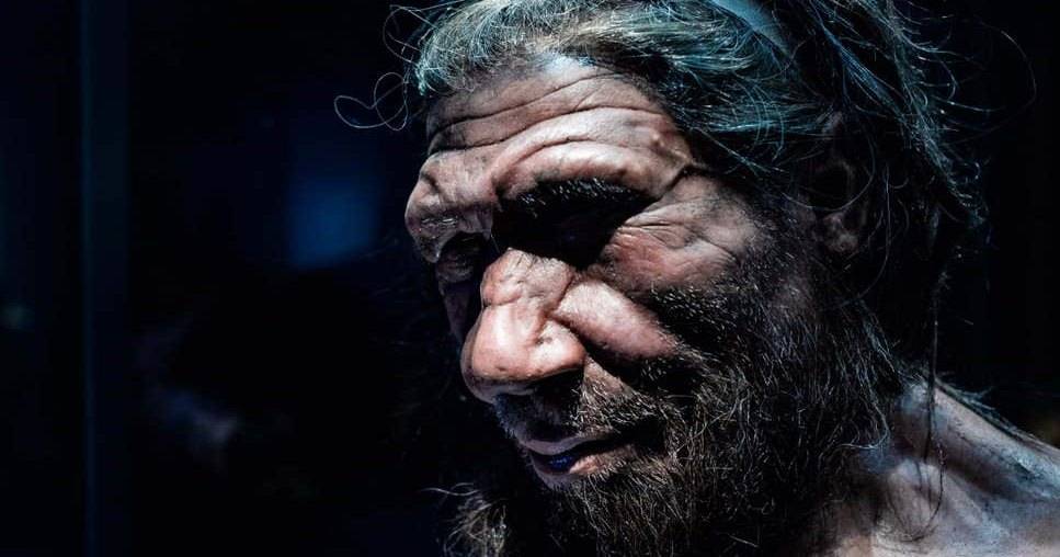 Учёные узнали дату и&nbsp;место появления предков современных людей