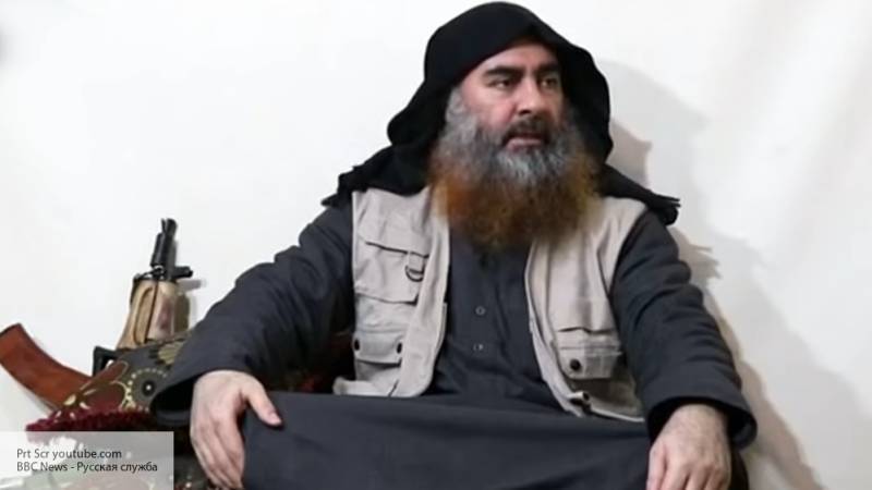 Эксперт считает «гибель» аль-Багдади подозрительно похожей на «ликвидацию» бен Ладена