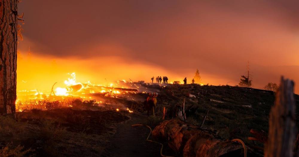 Лесные пожары вынудили знаменитостей бросить свои дома
