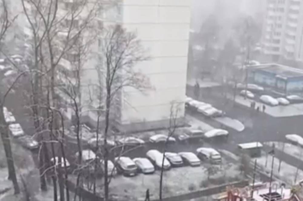Видео: интернет-пользователи радуются первому снегу в Москве