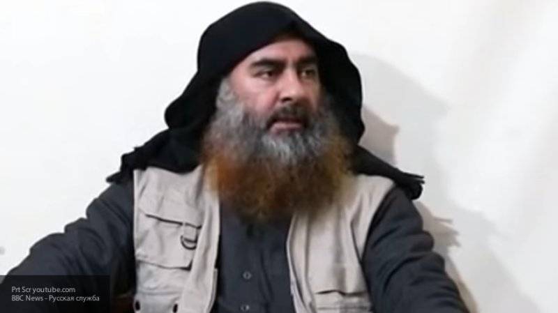 Эксперт раскритиковал доказательства "гибели" главаря ИГИЛ в виде его нижнего белья
