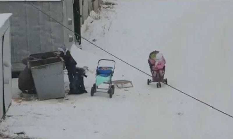 Россияне решили помочь женщине с четырьмя детьми, искавшую еду в мусорке
