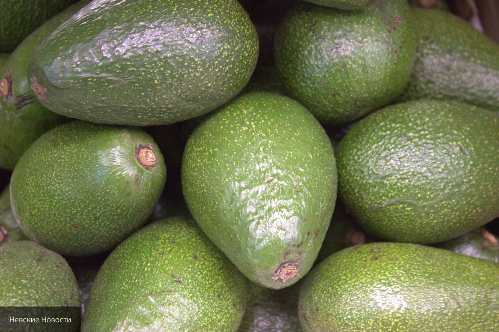 Ученые рассказали о пользе тостов с авокадо для сердца
