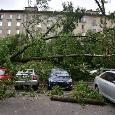 Ураган оставил без света населенные пункты в восьми регионах Центральной России и Приволжья
