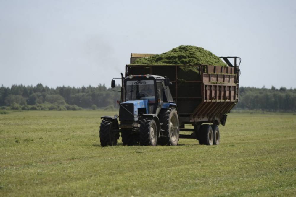 ЗакС Петербурга принял закон о поддержке органического сельского хозяйства
