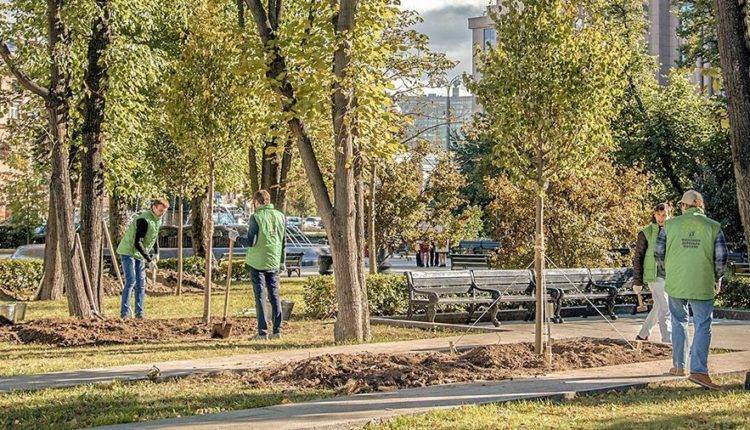 В Москве начнут сажать деревья по ночам