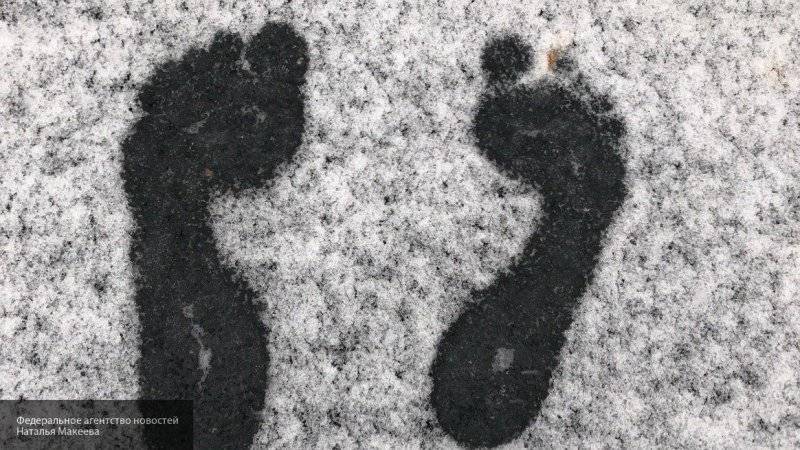 Специалисты предупредили москвичей о гололедице и мокром снеге