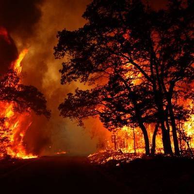 "Красный" режим пожарной опасности объявлен на юго-востоке Калифорнии