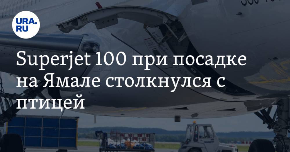 Superjet 100 при посадке на Ямале столкнулся с птицей
