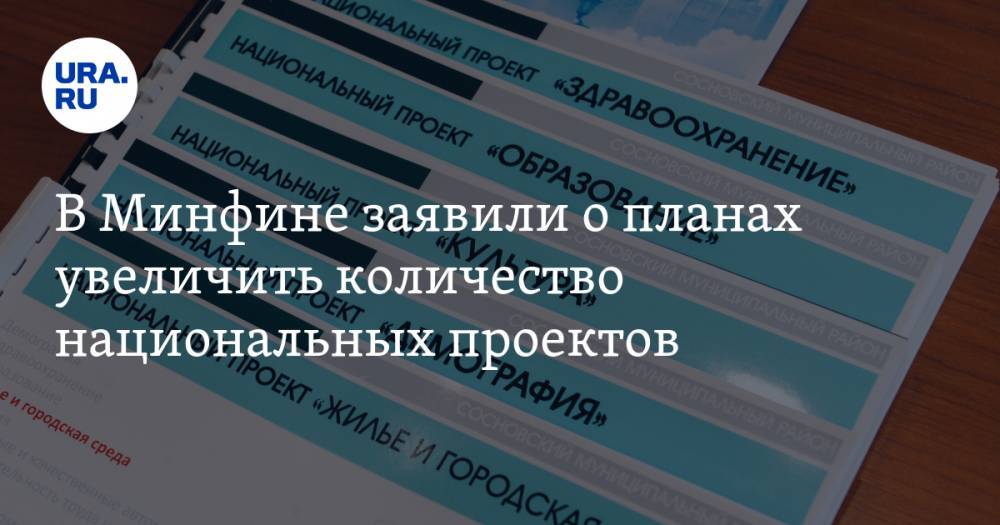 Леонид Горнин - В Минфине заявили о планах увеличить количество национальных проектов - ura.news