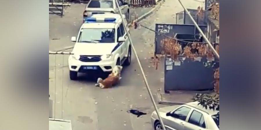 Ростовские полицейские попытались переехать собаку на внедорожнике