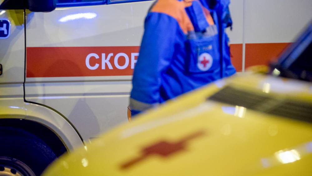 В Холмогорском районе после лобового столкновения иномарок погибли двое взрослых и ребенок