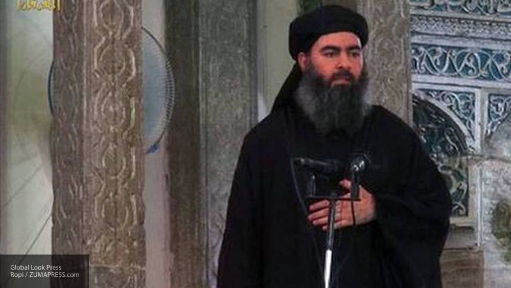 США после фейка об аль-Багдади «ликвидировали» его первого заместителя