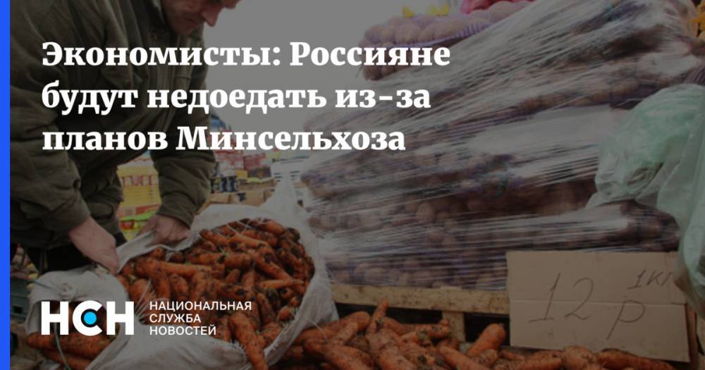 Экономисты: Россияне будут недоедать из-за планов Минсельхоза